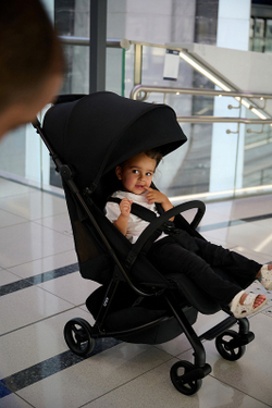 Прогулочная коляска Anex AIR-Z New Az-04-N Space