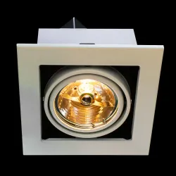 Карданный светильник Arte Lamp