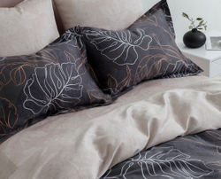 Постельное белье СайлиД BN-004 сатин
