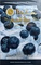 BUTA FUSION (БУТА ФЬЮЖИН)  Ice Blueberry 50 гр.