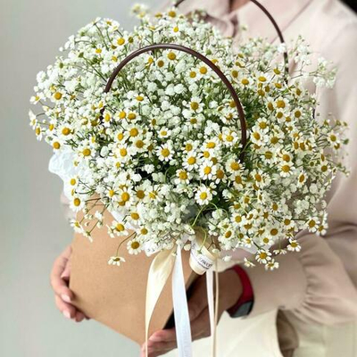 Хризантема ромашка в сумочке