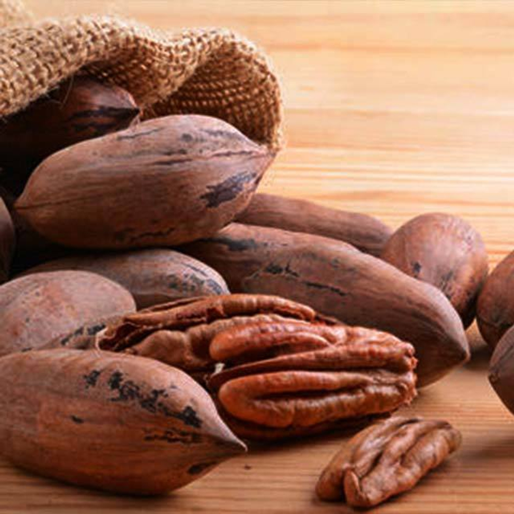 Орех пекан в скорлупе