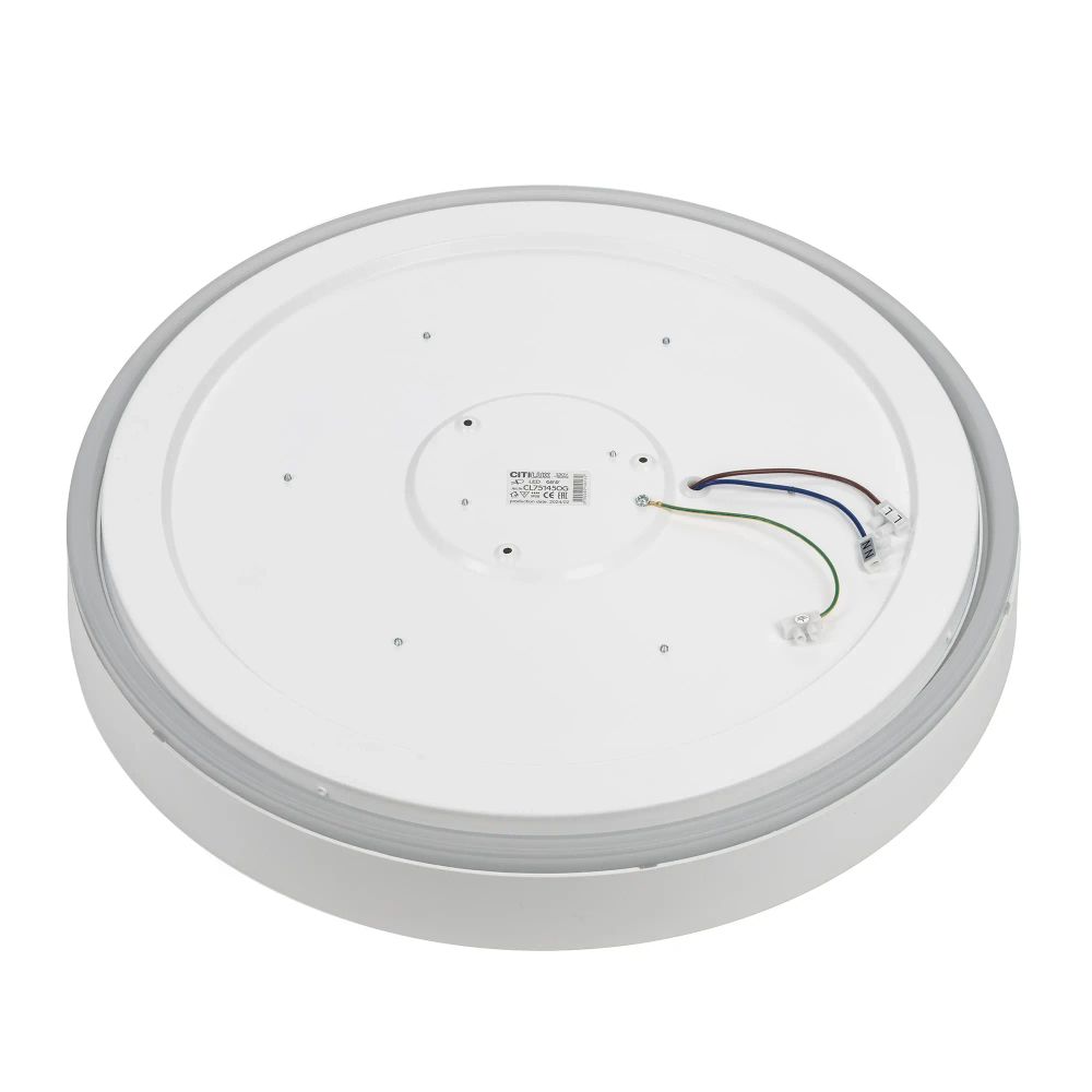 Citilux BOSS CL751450G LED RGB Светильник с пультом Белый