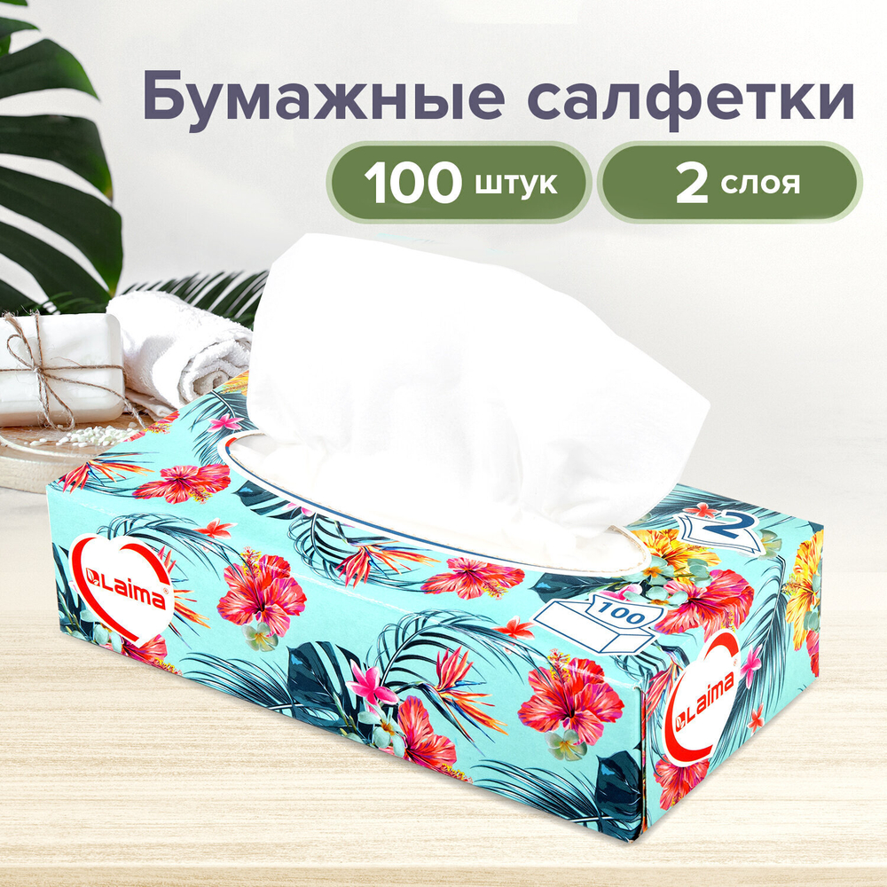 Салфетки косметические 100 шт. в картонном боксе 2-слойные LAIMA "Everyday" 20х20 см (10 штук в упаковке)
