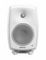 Genelec 8030CW