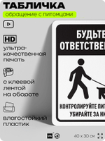 Табличка "Будьте ответственны, контролируйте питомцев и убирайте за ними" на дверь и забор, для двора, дома, подъезда, 40х30 см, Silver Plane x Айдентика Технолоджи