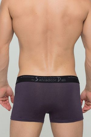 Мужские трусы 2018 Dark Grey Salvador Dali
