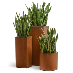 Кашпо TREEZ Effectory - Corten Steel - Цилиндр - Кортеновская сталь-Бархатистая окись