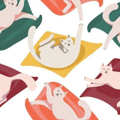 Цветные коты