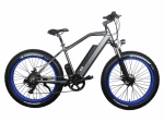 Электрофэтбайк Volt Age ALL ROAD W