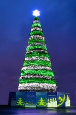 Уличная гирлянда с режимами: Цветная "Северное Сияние" (24В) - на елку от 4 до 30 м