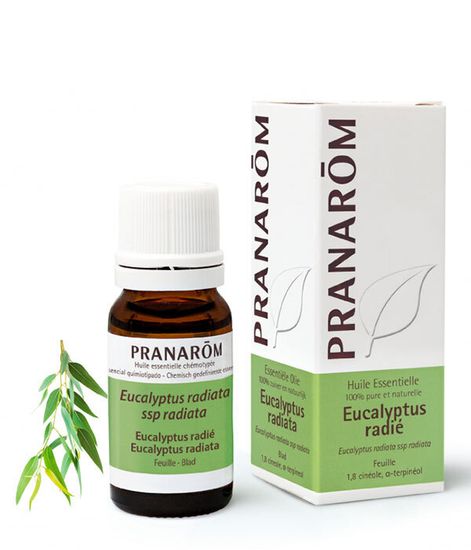 Натуральное эфирное масло Эвкалипт лучистый, Pranarom