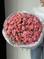 Гранд букет из кустовых роз в нежно розовом оттенке