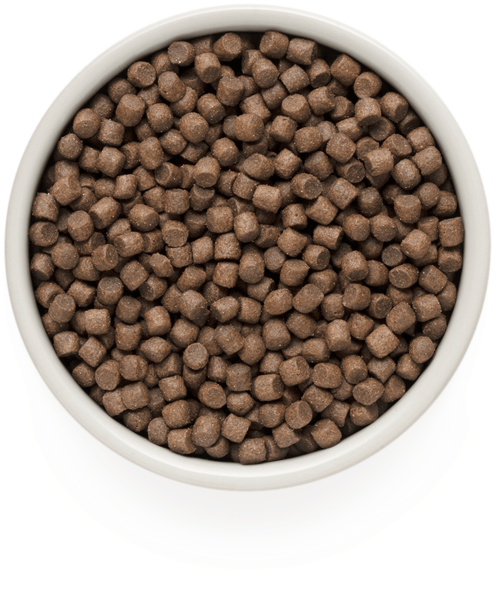 Grandorf Adult Mini 4Meat&Brown Rice - корм низкозерновой с пробиотиками для собак мелких пород (четыре вида мяса с бурым рисом)