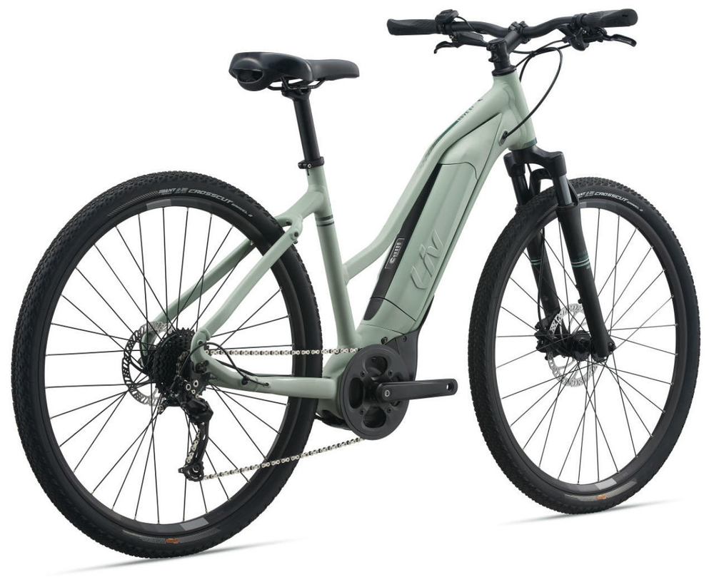 Электровелосипед Giant Rove E+ (2022)