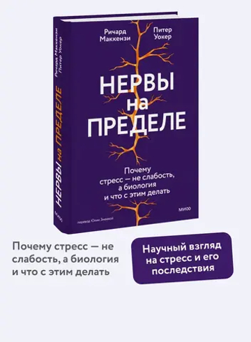 Нервы на пределе. Почему стресс — не слабость, а биология, и что с этим делать