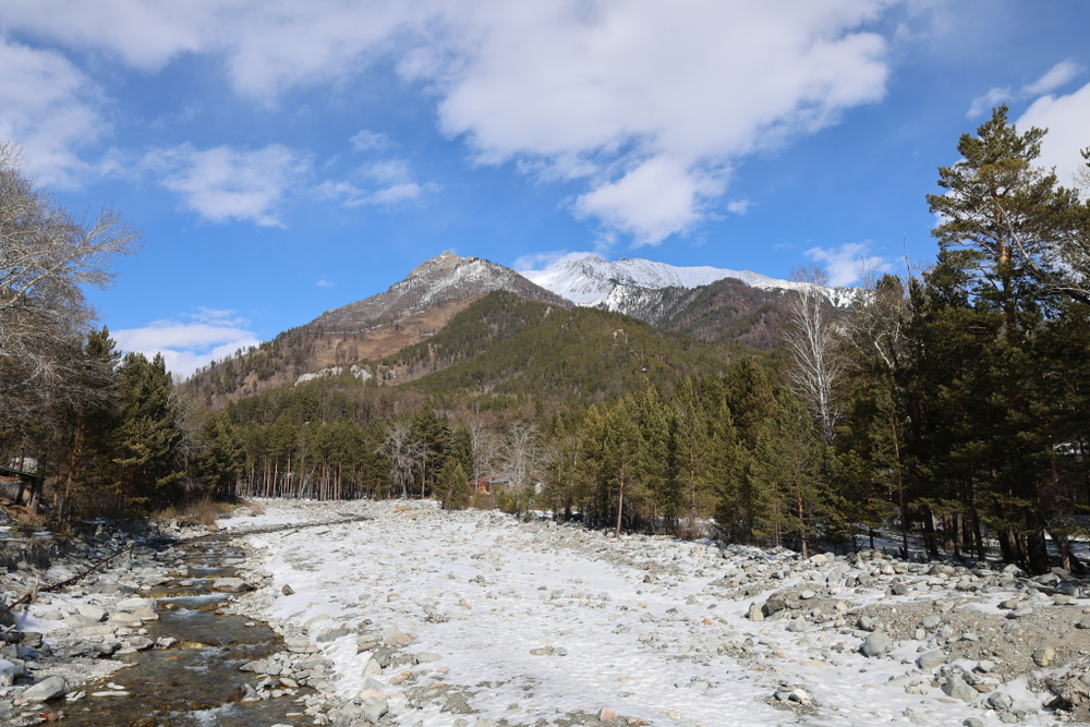 Фотобумага глянцевая Premium