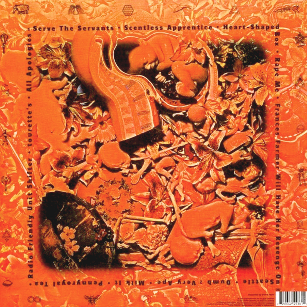 Nirvana / In Utero (LP)