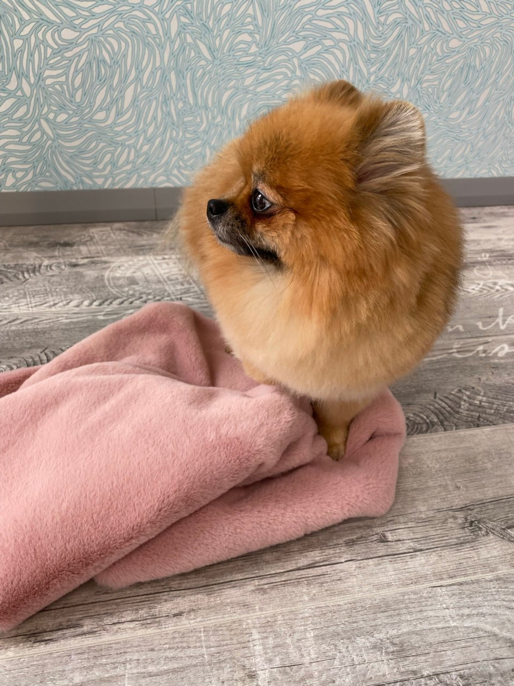 8203 MD Невероятно мягкий плед PREMIUM пыльно-розовый, мягкий МЕХ "Furry Heart Blanket" 50х70 см в лежанку/ сумку/ в переноску/ в дорогу