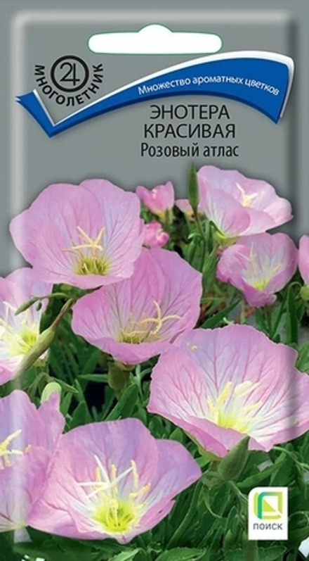 Энотера красивая Розовый атлас