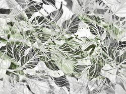 Коллекция SELVA 19