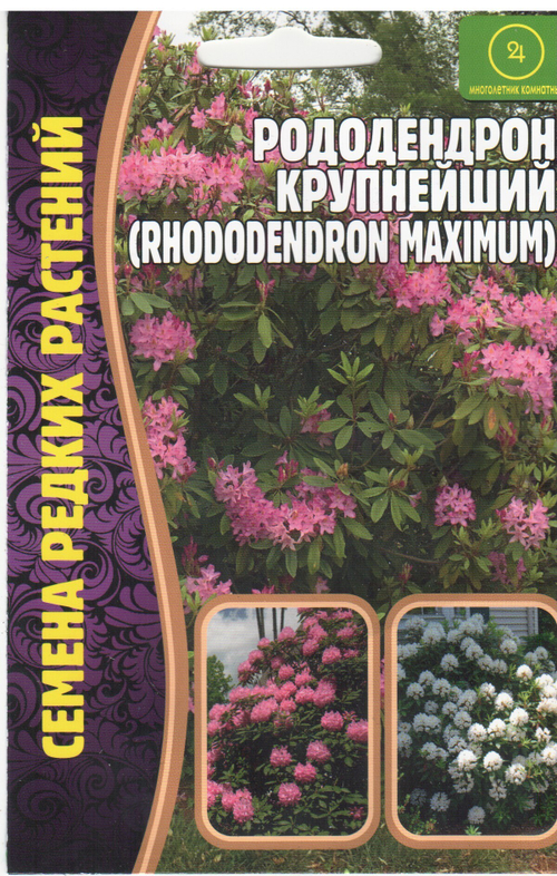 Рододендрон крупнейший