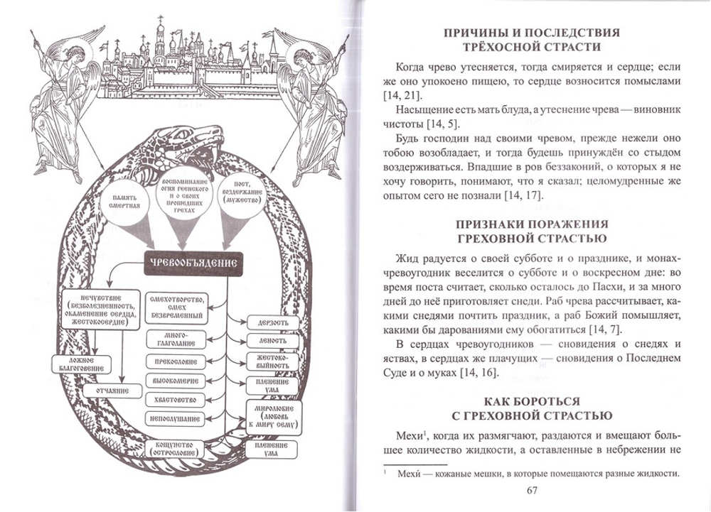 Комплект: Лествица преподобного Иоанна Лествичника. Русский перевод святителя Игнатия (Брянчаинова). Брошюра "Греховные страсти"