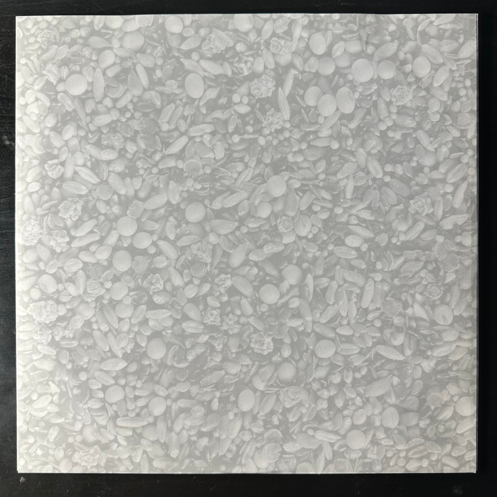 Океан Ельзи ‎– Земля (Германия 2013г.)