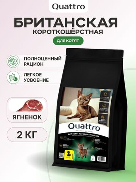 Корм сухой для котят породы Бурманская, с ягненком, 2 кг, QUATTRO