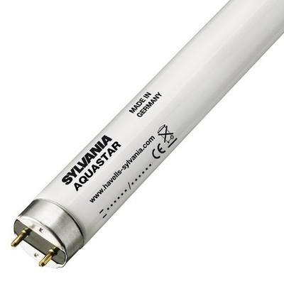 Люминесцентная лампа T8 F 36W 174 AQUASTAR 10000K G13 1200mm для пресноводных и морских аквариумов 0000647