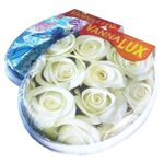 Мягкая крышка-сиденье для унитаза "VANNA LUX" цвет белый, рисунок в ассортименте