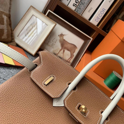 Hermes Birkin 25