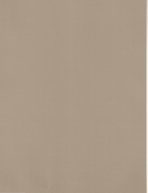 Ламинированный гипсокартон Ral 1019