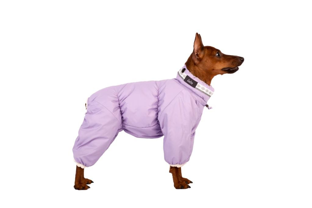 Комбинезон зима ТОФФИ девочка