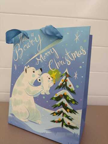 Пакет бумажный новогодний Сказочный лес 23х18х10см 210г, SYLPD23-008