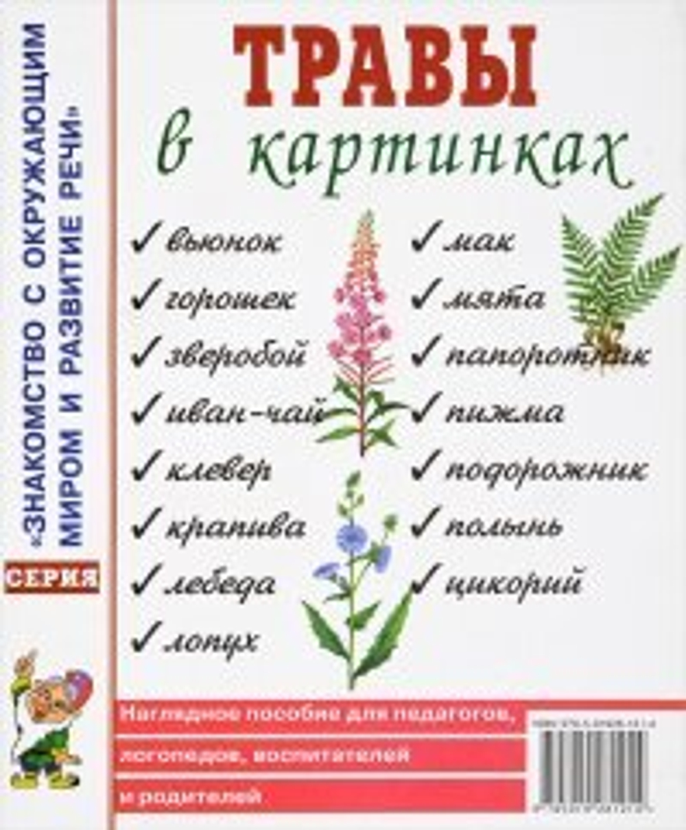 Травы в картинках. Наглядное пособие для логопедов, педагогов, воспитателей и родителей