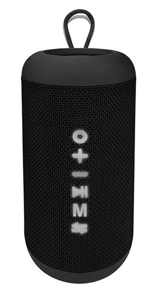 Портативная аудиосистема Soundmax SM-PS5012B(черный)