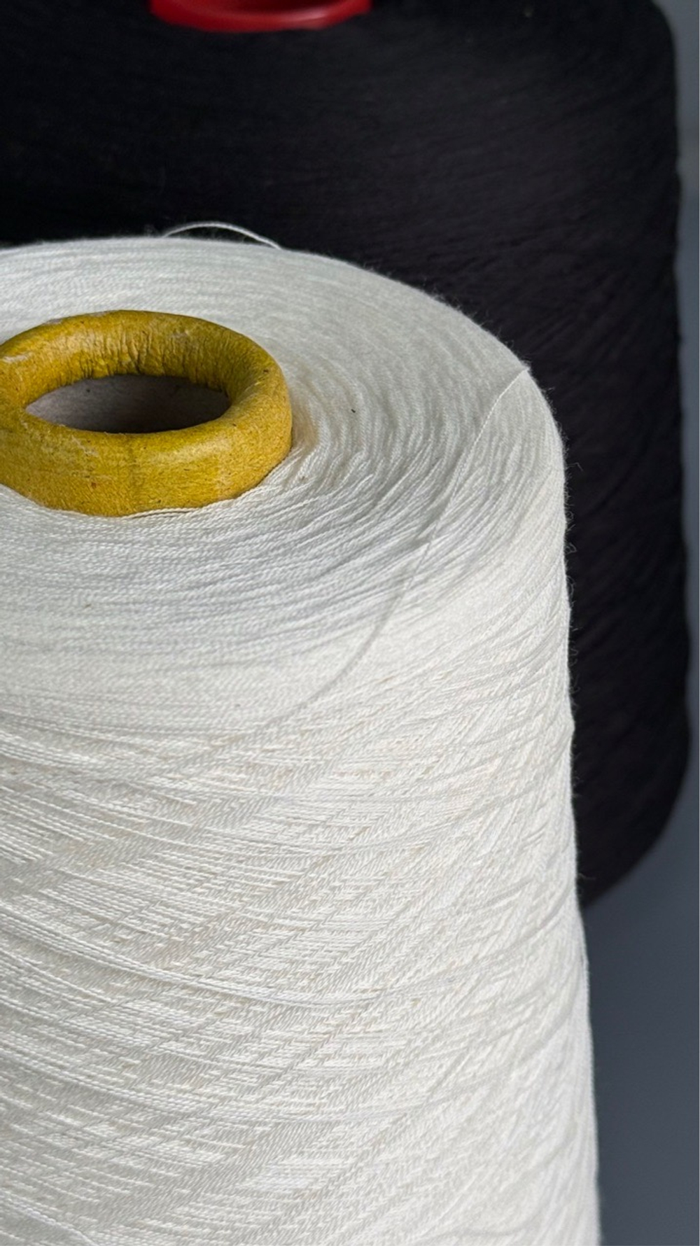 Пряжа Emilcotoni SPa Real Silk (2/56000) 2800 м/100 гр (80% пима хлопок, 20% шелк), белый