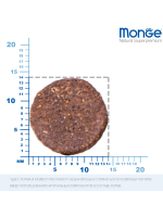 Сухой корм Monge Dog BWild GRAIN FREE, для вхрослых собак всех пород, беззерновой, из ягненка с картофелем 12 кг