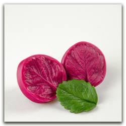 Лист клубники/земляники садовой. Набор №2 (малый)