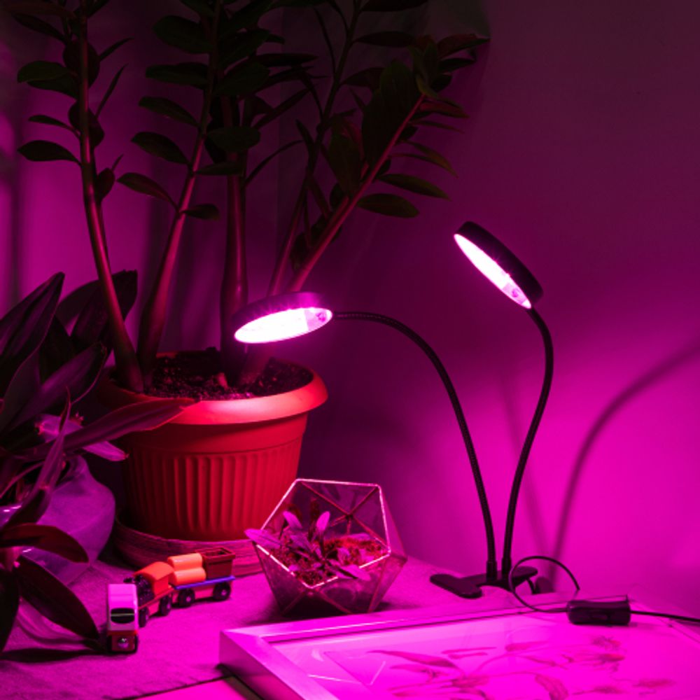 Светильник для растений на прищепке ЭРА FITO-20W-АLED-R красно-синего спектра 20 Вт черный | Интерьерные фито светильники