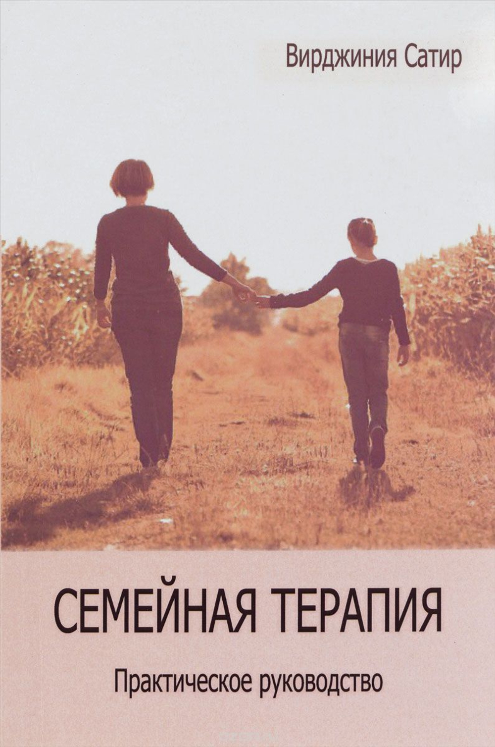 Семейная терапия