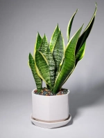 Дренаж для цветов и растений микс