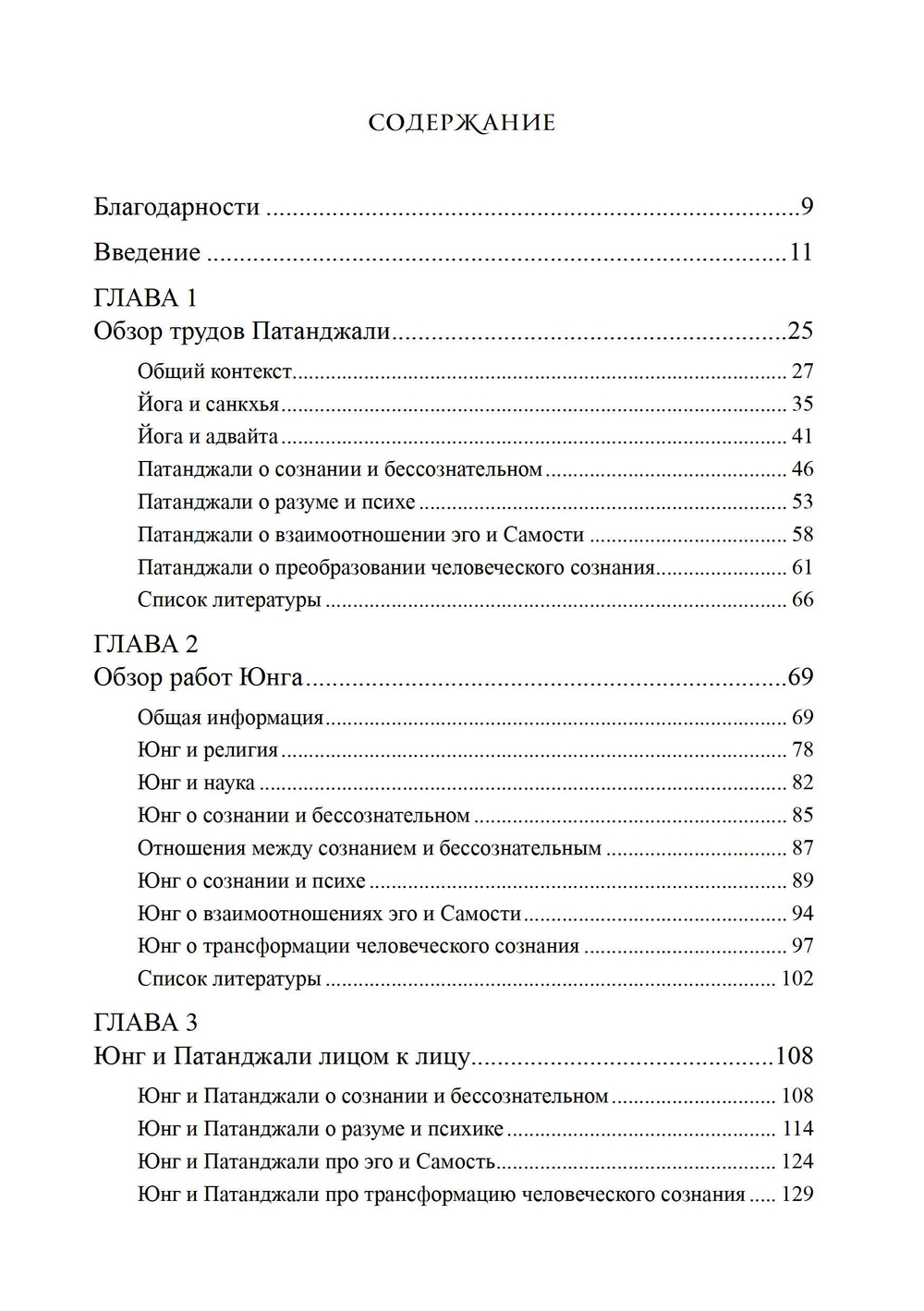 Сознание в трудах Юнга и Патанджали. ПРЕДЗАКАЗ 15% До 23.12.2025