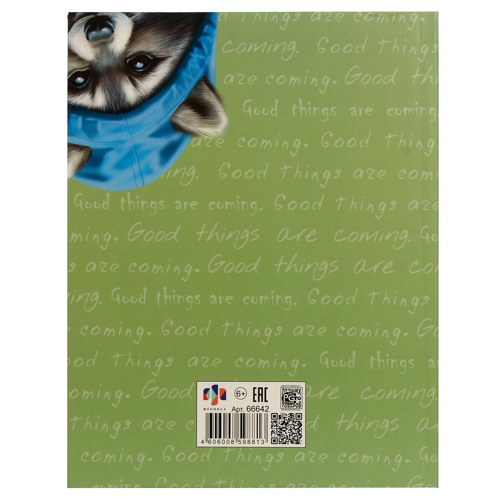 Дневник школьный 48л "Веселый енот" (Феникс+)