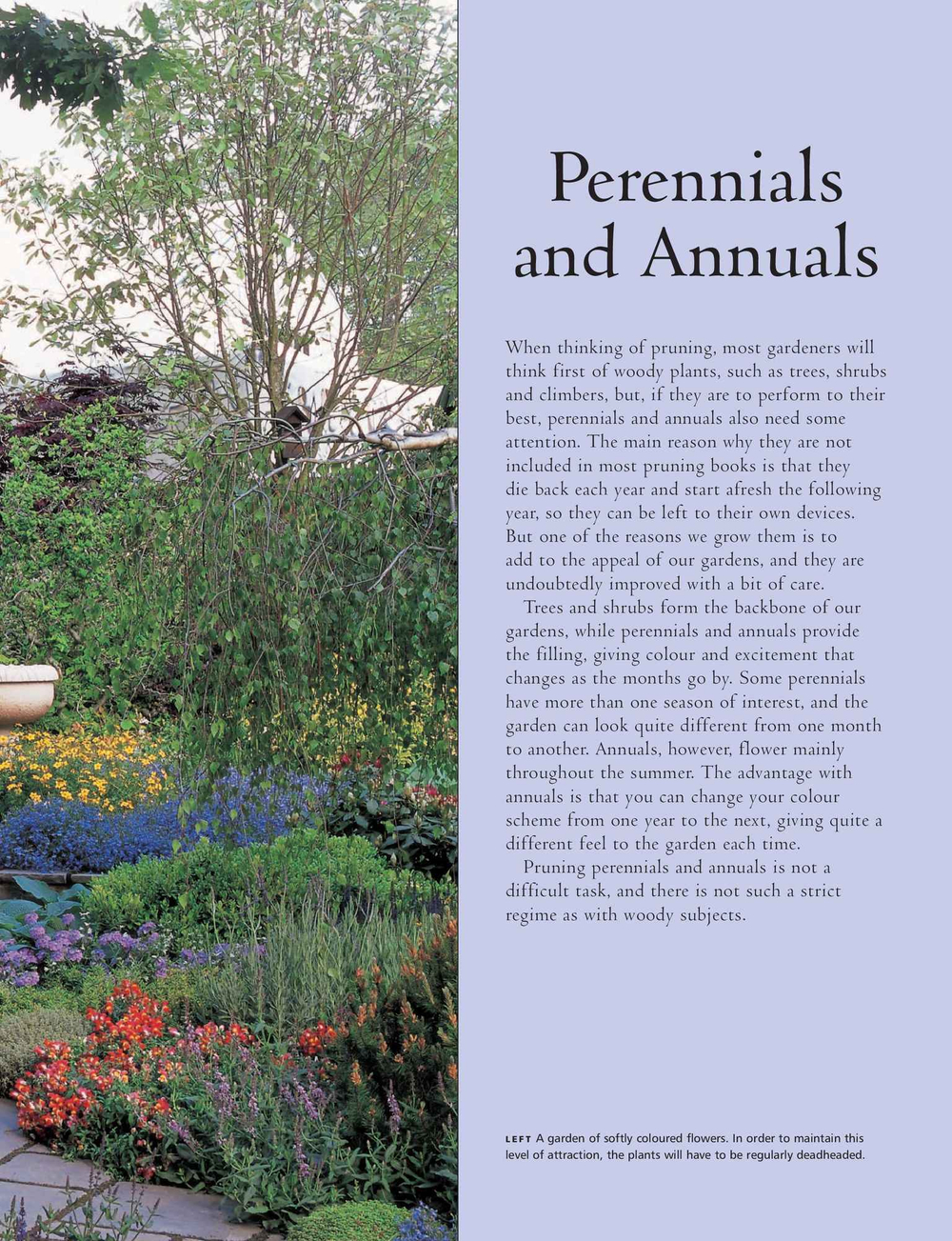 Practical Guide to Pruning, Training and Topiary
