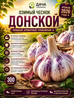 Чеснок озимый Донской 300 г, посадочный материал, семенной чеснок, крупные зубки, морозостойкий сорт