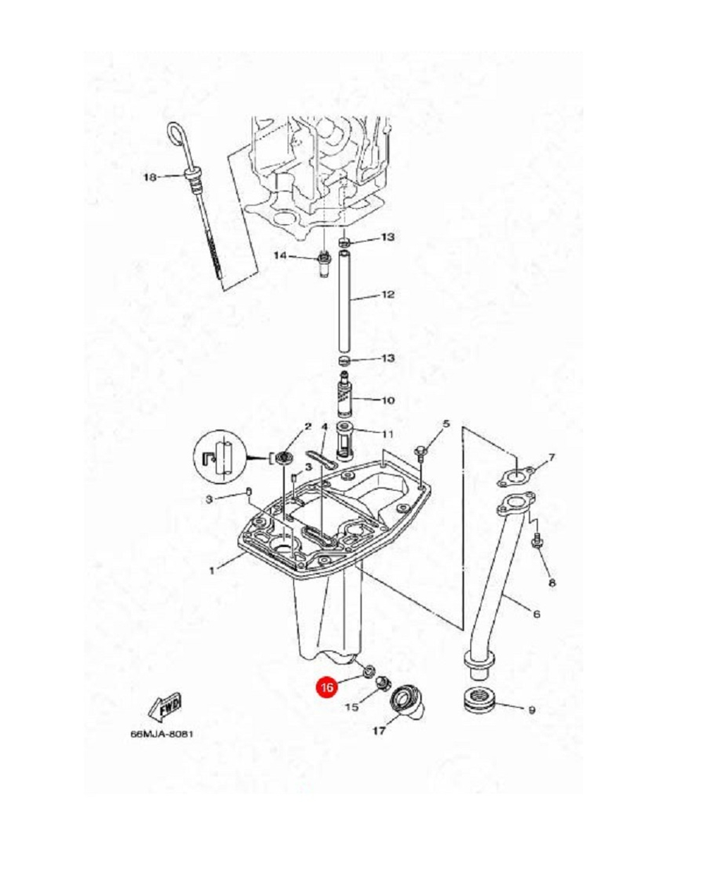 Прокладка сливной пробки картера Kacawa для YAMAHA F9.9-300