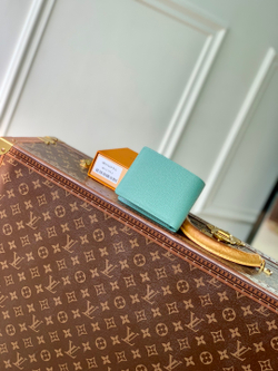 Louis Vuitton Multiple Wallet
