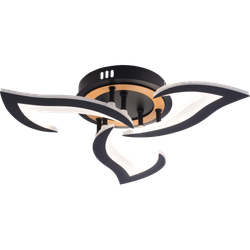 Светильник потолочный светодиодный Rivoli   6194-703 LED 3000-6250К 42 Вт с пультом